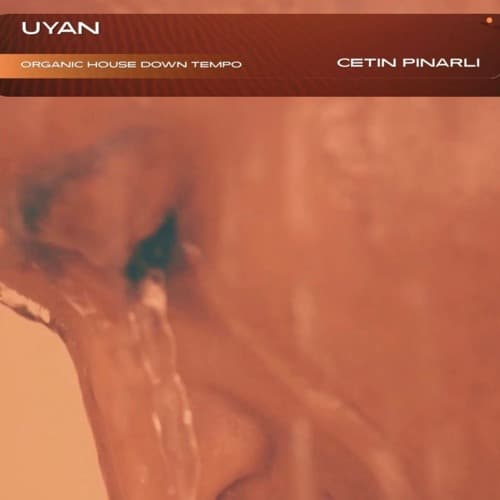 Uyan (Organic House Downtempo) — artwork